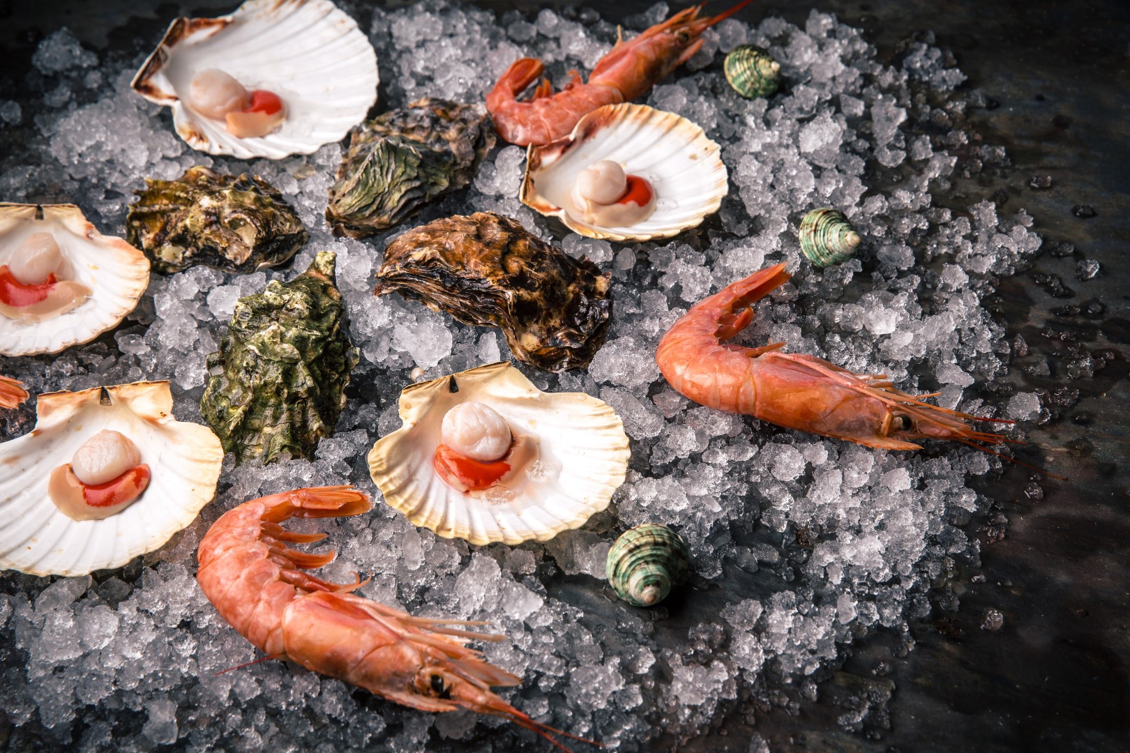 Scallops_Langoustines_Shrimps_Oysters_Mussels