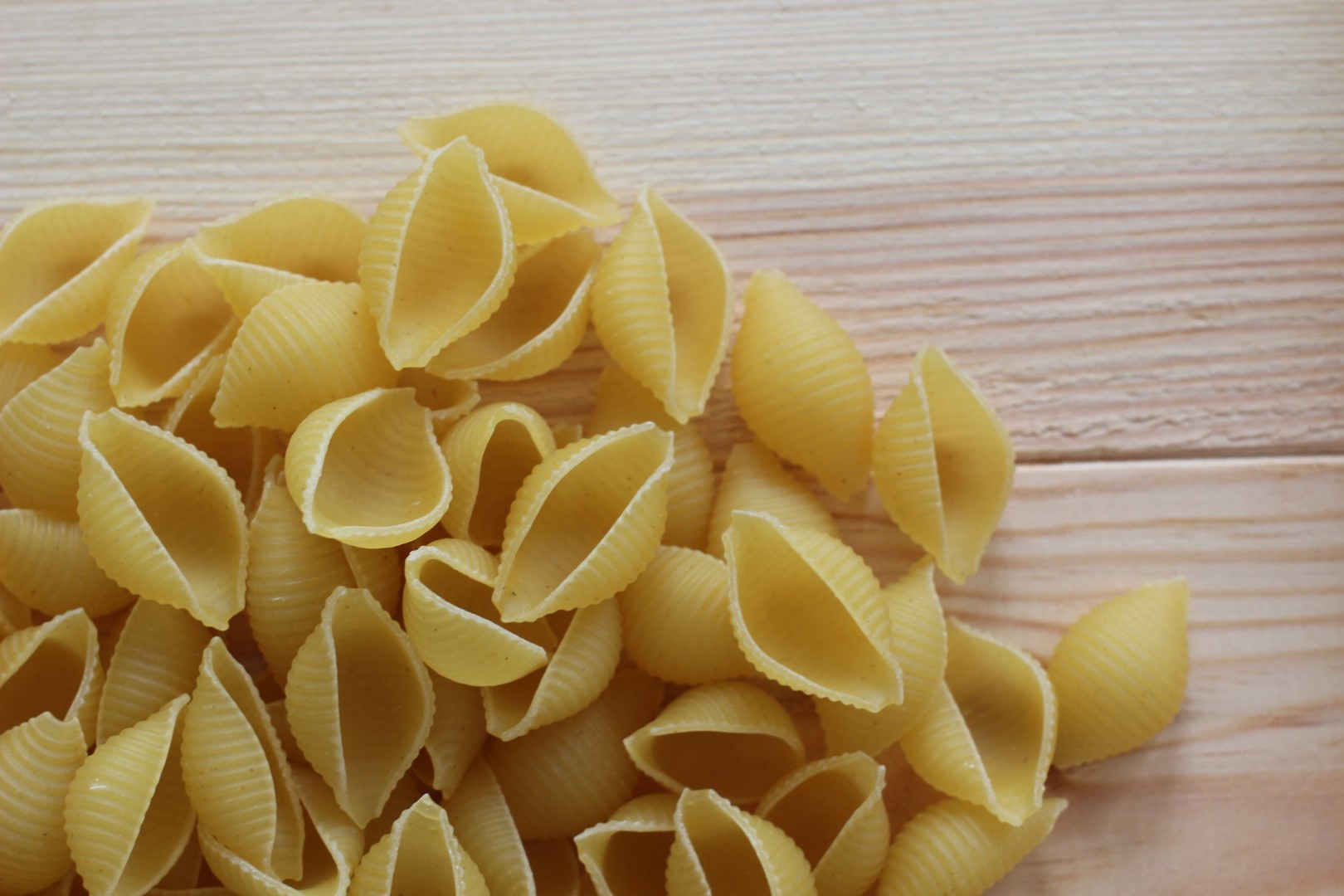 pasta salad macaroni shells