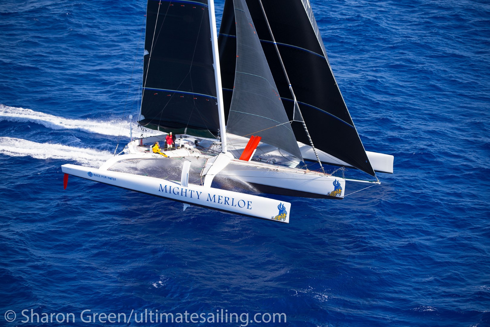 transpac sailboat race to hawaii