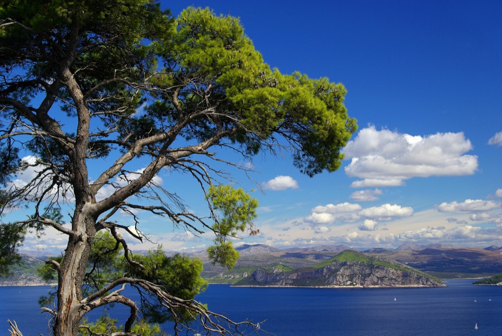 Elafiti islands near Dubrovnik