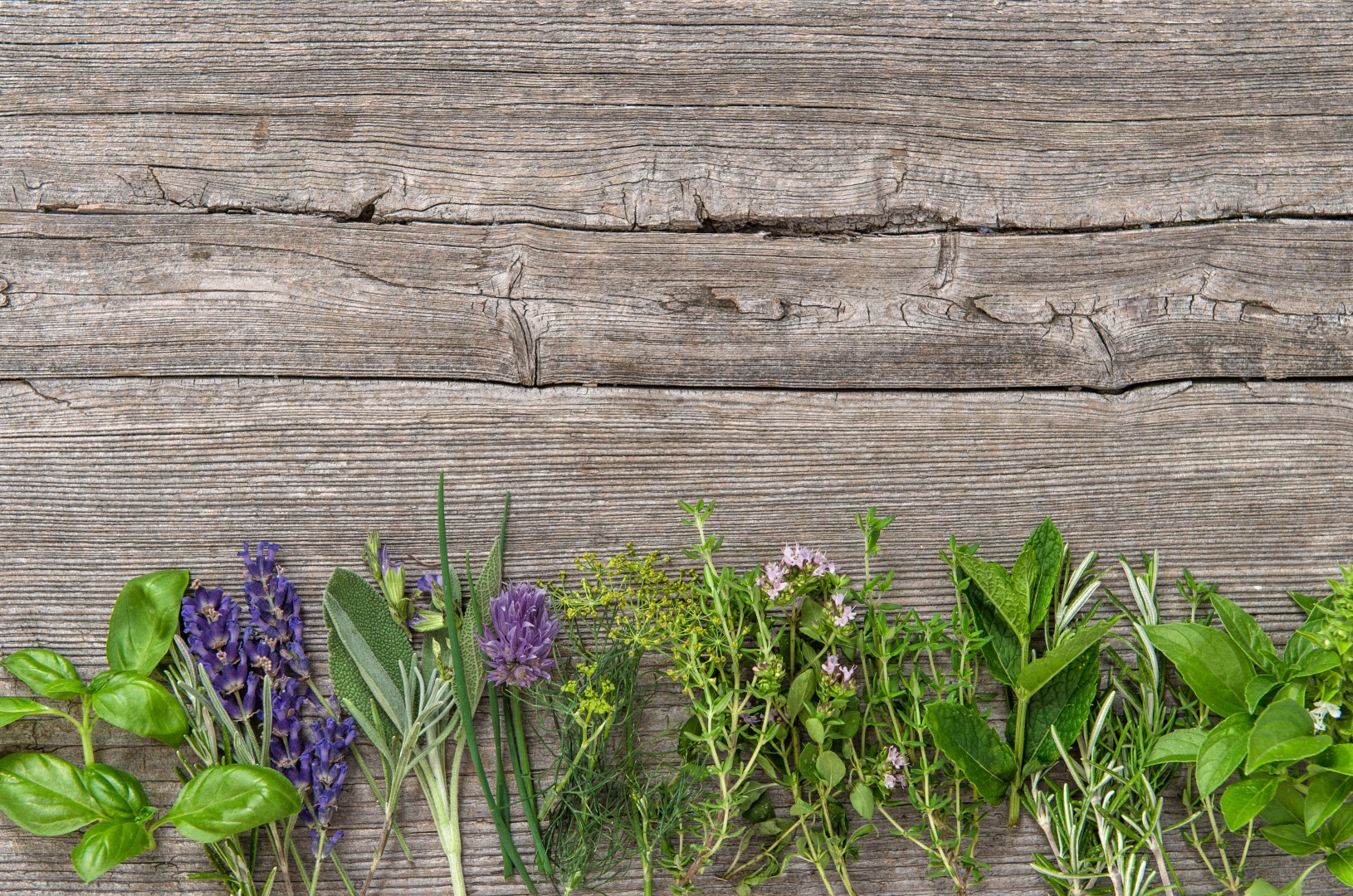 Mediterranean herbs