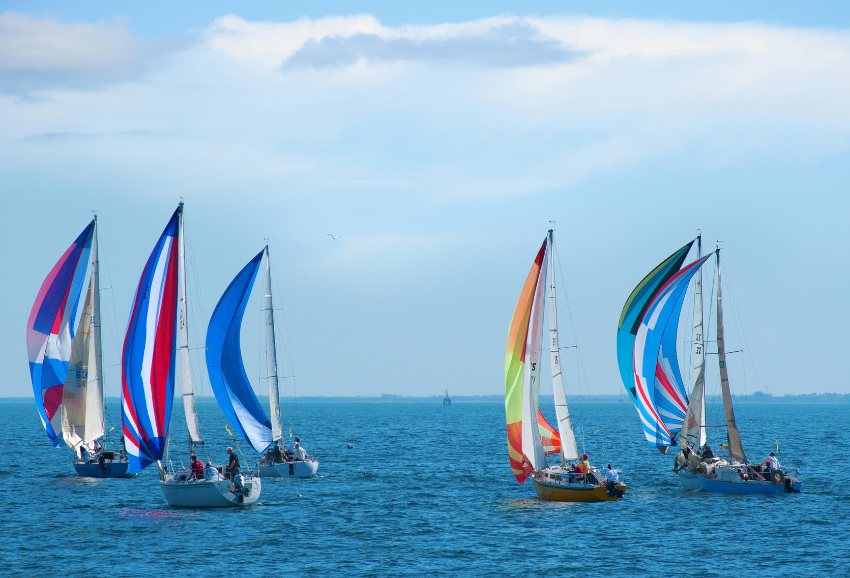 sailboats regatta