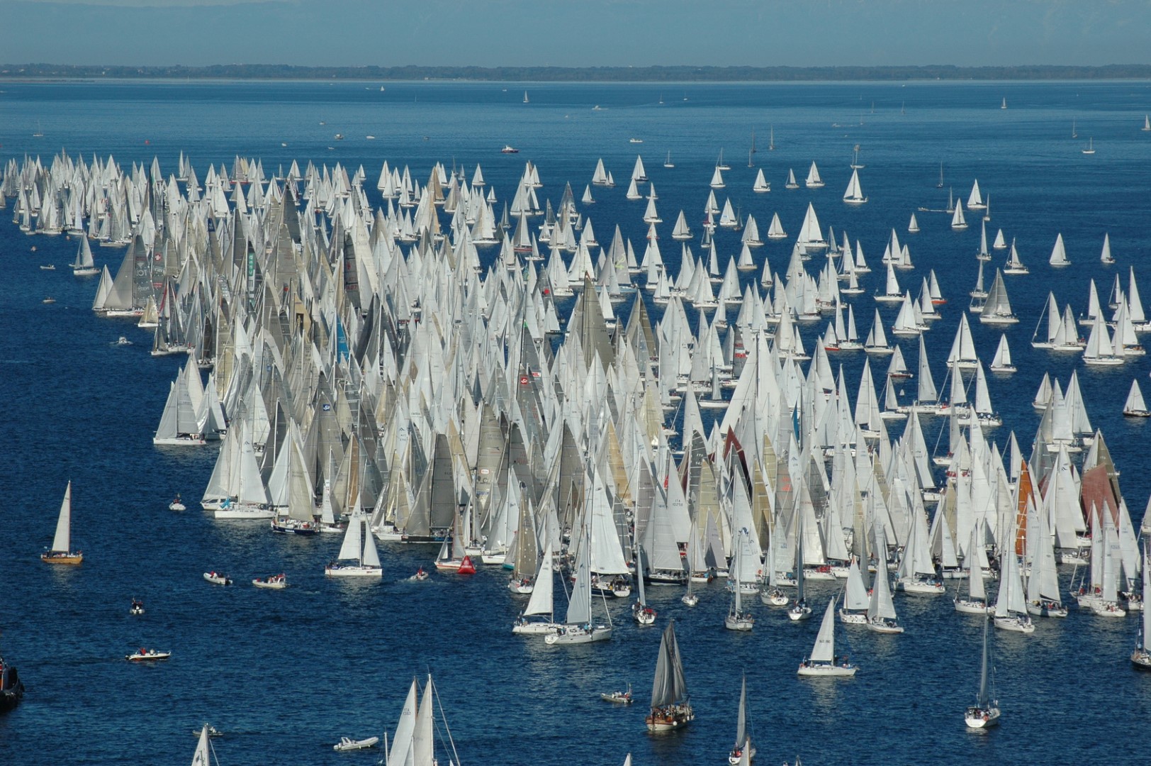 sailboats regatta