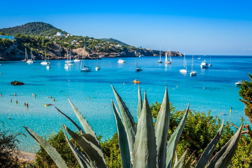 Cala Tarida beach, Ibiza