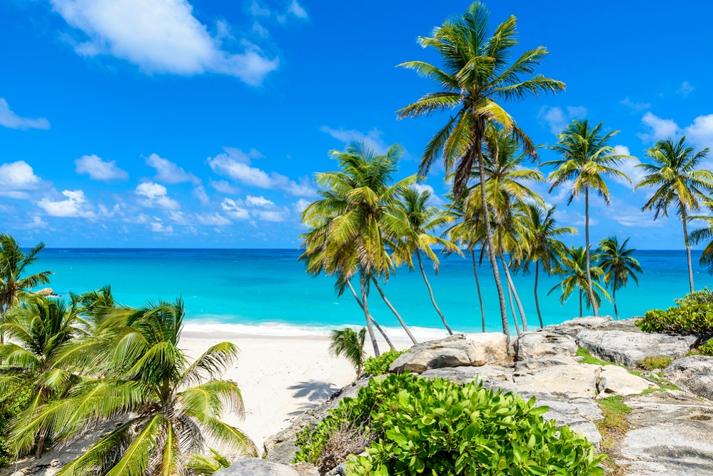 Beachside and palm trees on Barbados