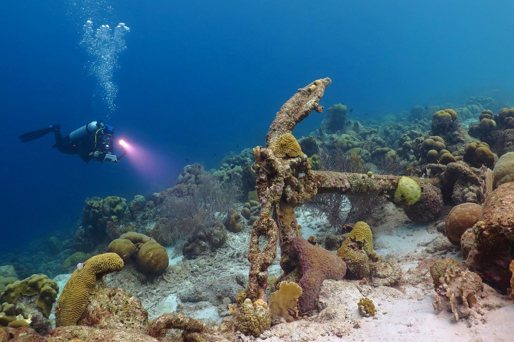 Famous Shipwrecks