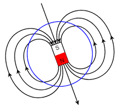 Magnetic north pole