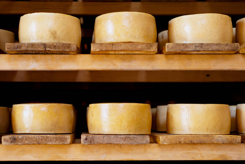 Lo más destacado de la gastronomía de Zadar - queso de Pag