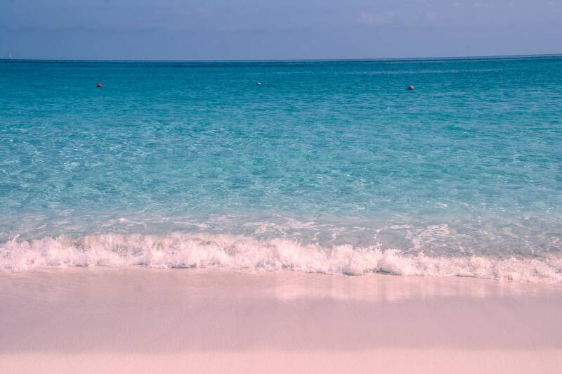 Principales razones para visitar las Bahamas - Playa con arena rosa