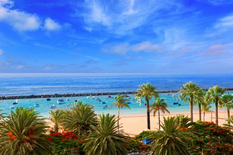 Why is Tenerife Popular Among Sailors? - Santa Cruz de Tenerife