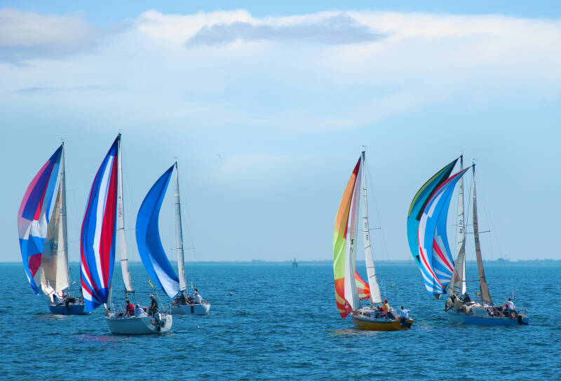 Sailing Activities - Regatta