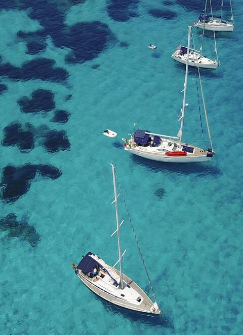 Sailing blue sea