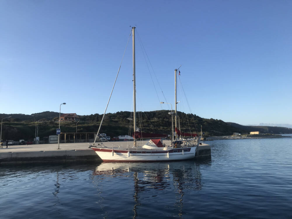 Amphitrite 43 • Asterias