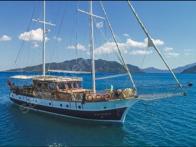 Auramia Auramia