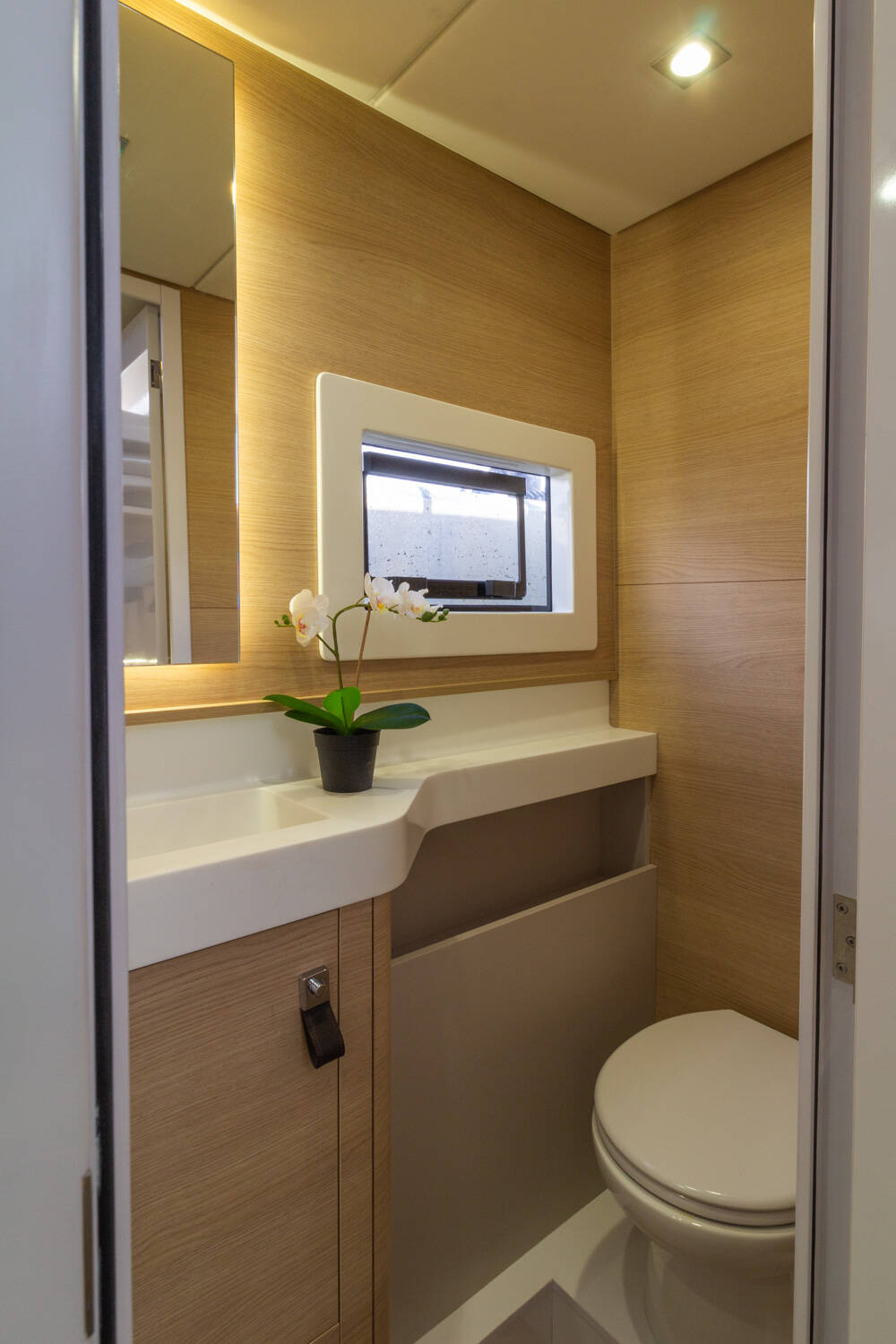 Aventura 37 Flor de Ibiza