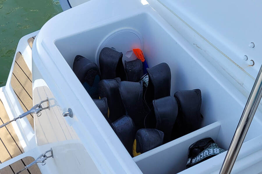 Bali 4.2 Cat Tales_DB