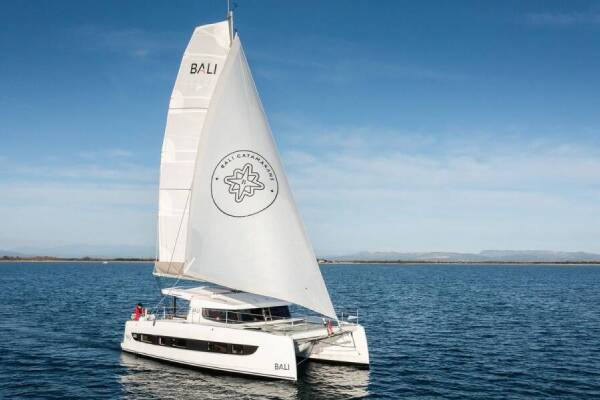 Bali Catsmart • Northcat 38