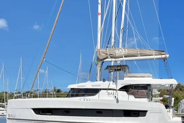 Bali Catspace • Pinnacle Cat