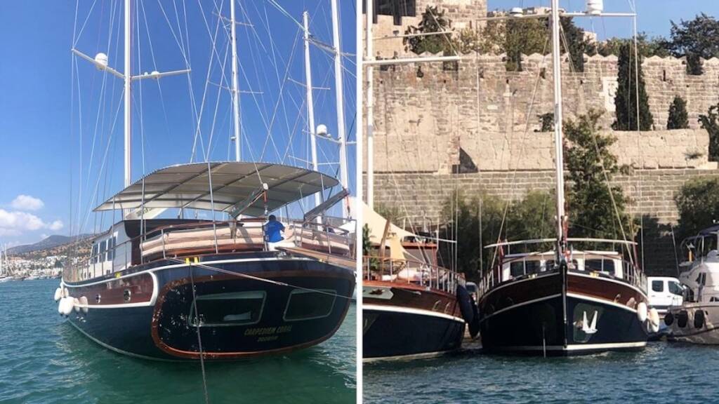 CARPEDIEM CORAL CARPEDIEM CORAL