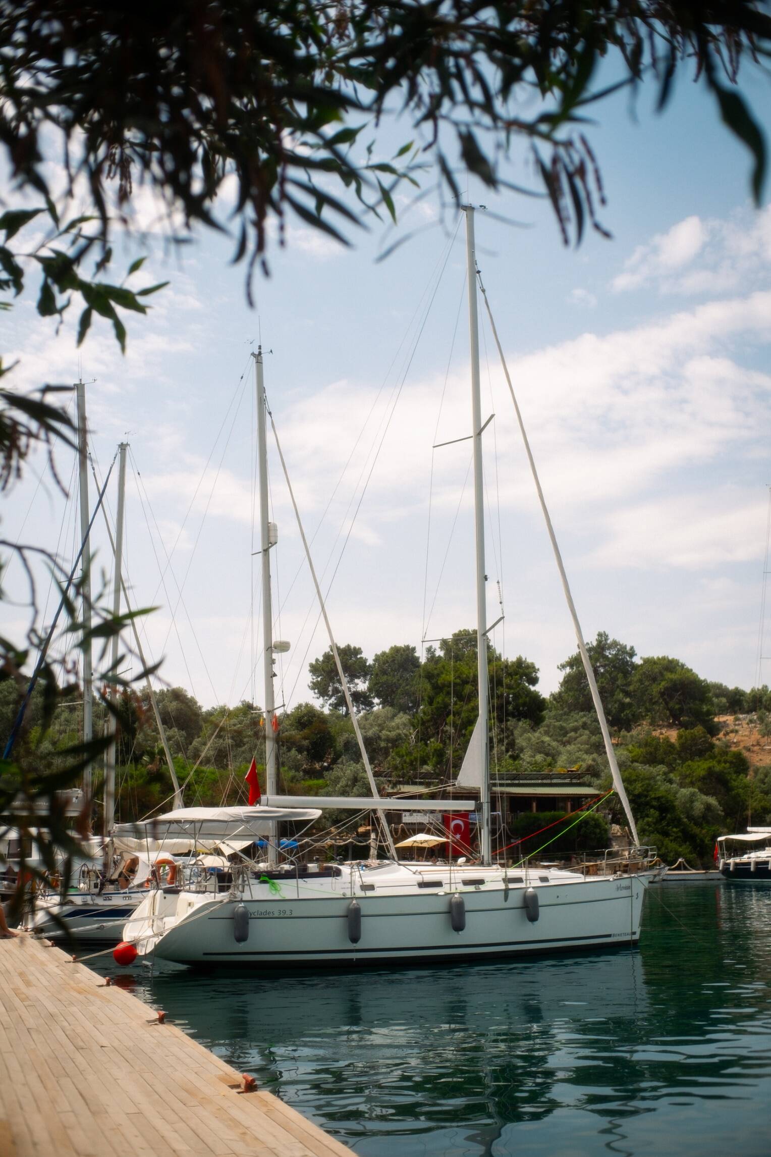 Cyclades 39.3 Artemisia