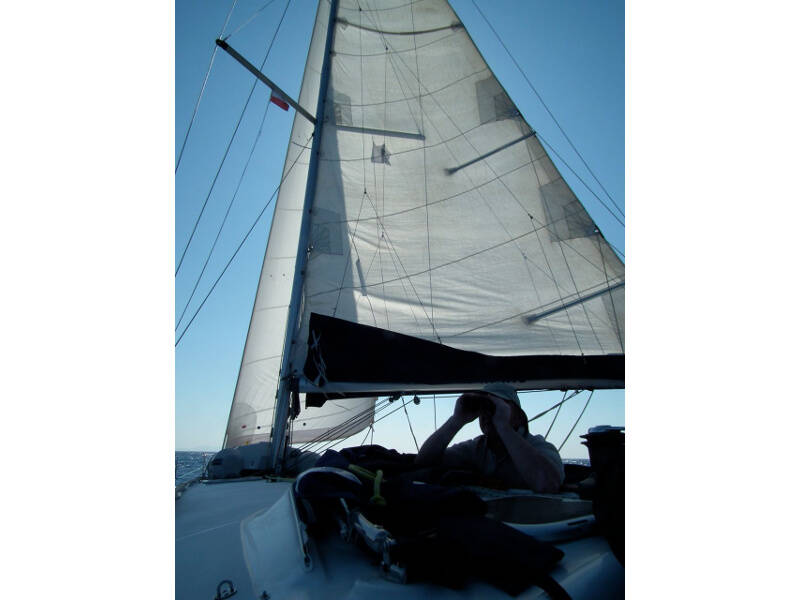 Cyclades 50.5 Rinia