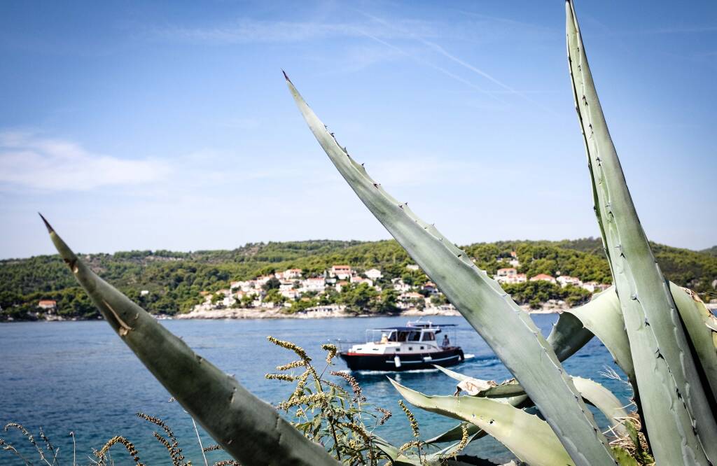 Dalmatian boat BILI