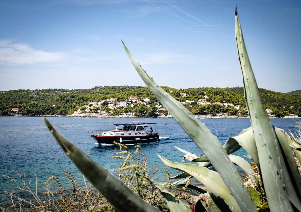 Dalmatian boat BILI