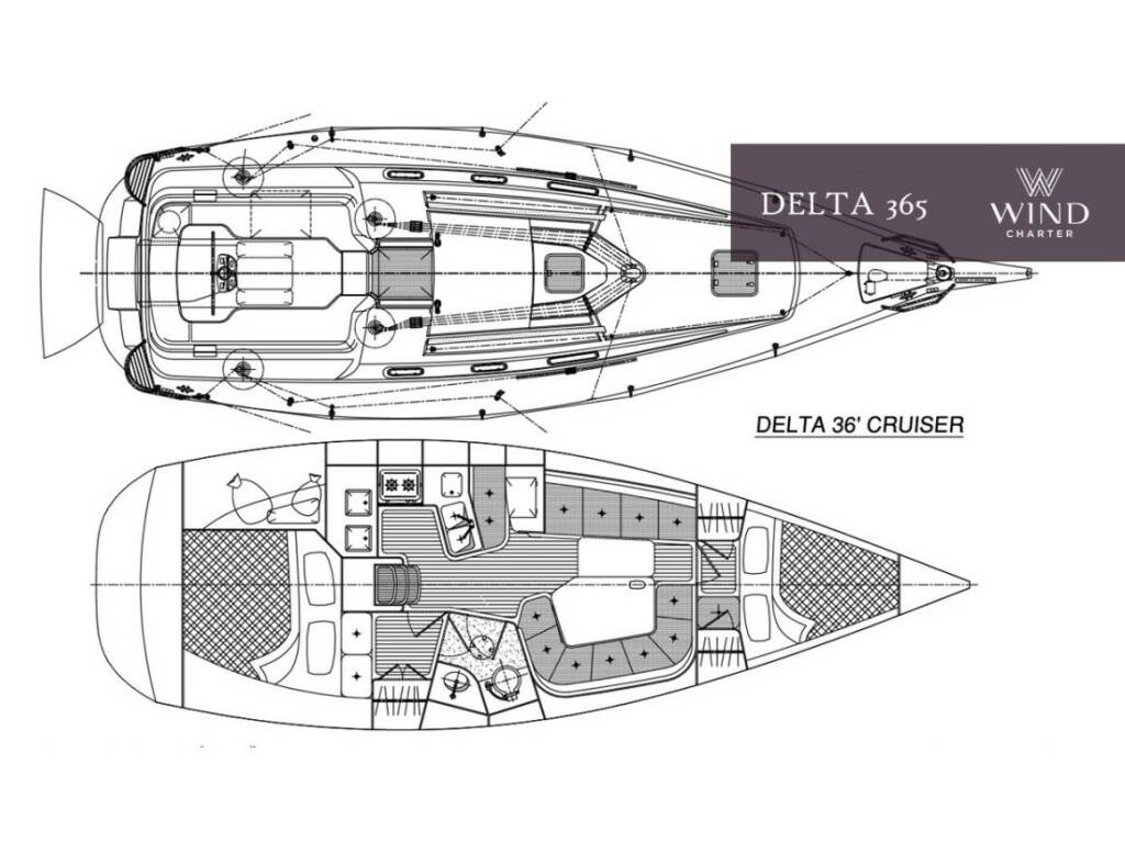Delta 365 Damis Jolie