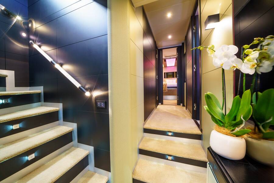 Dominator 780S Deluxe Dalia