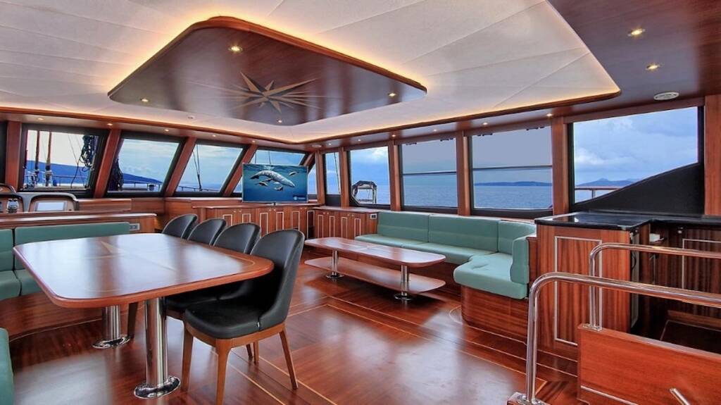 DRAGON FLY DRAGON FLY