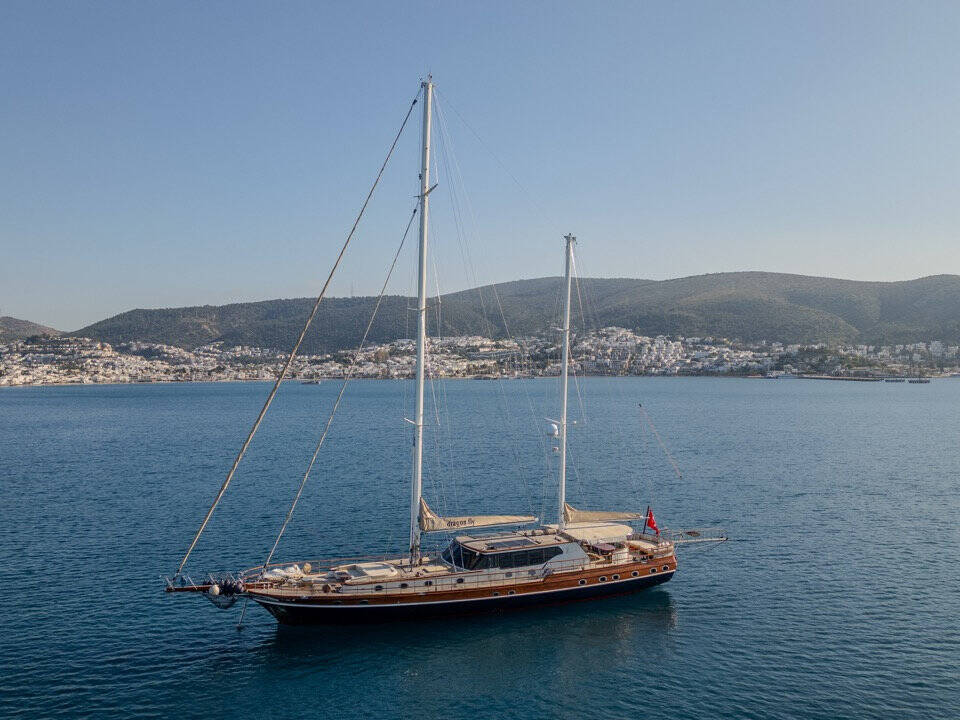 DRAGON FLY DRAGON FLY