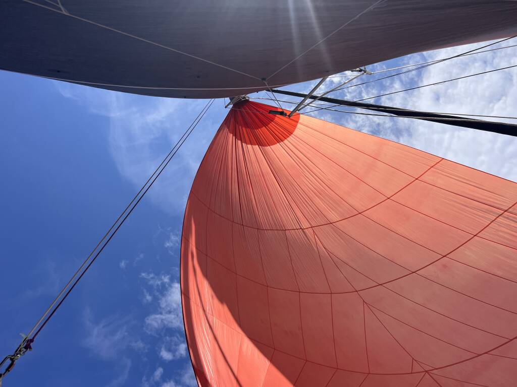 Dragonfly 28 Sport Don Cangrejo