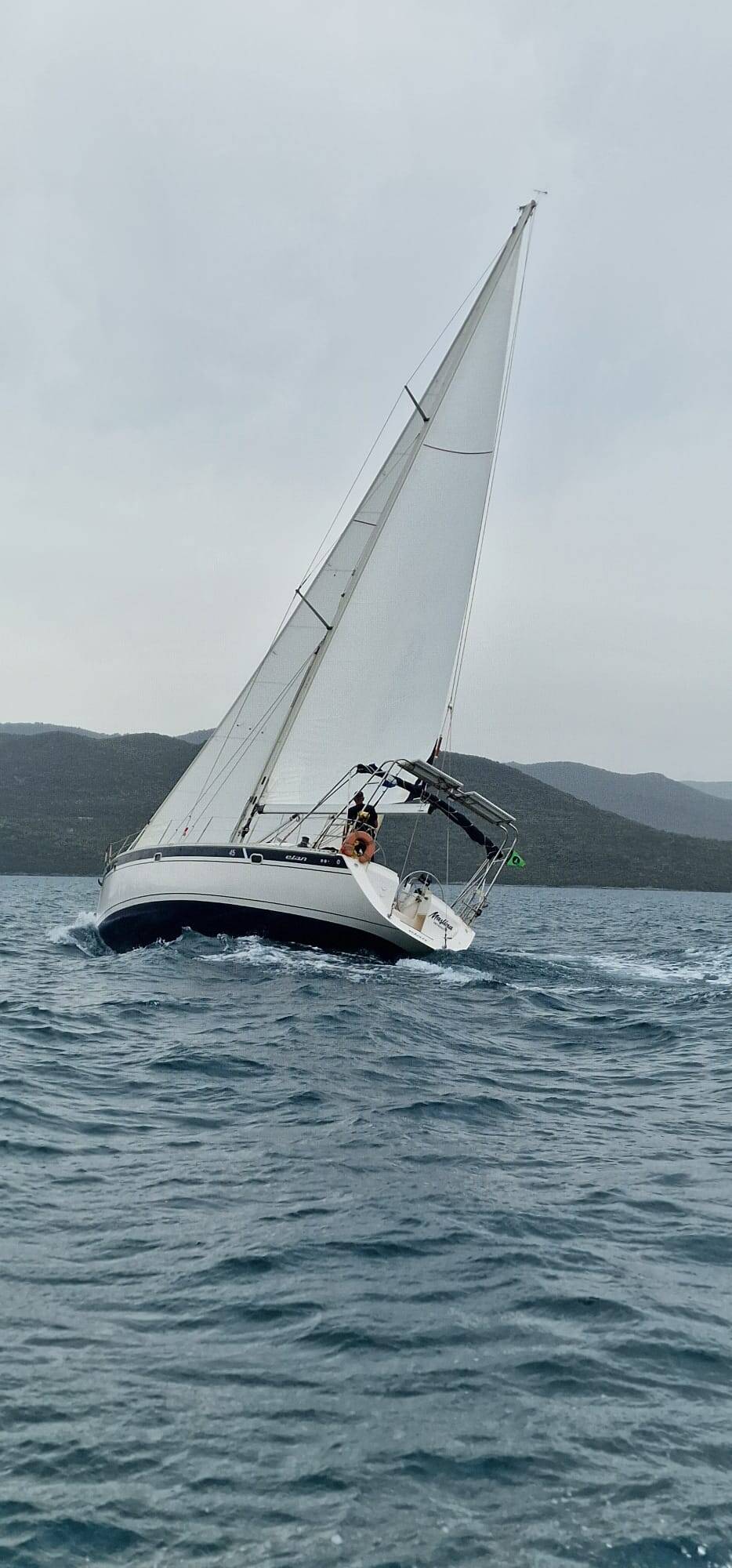 Elan 45 Maslina