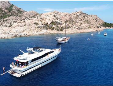 Falcon 76 • Lady Bibi