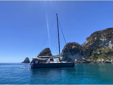 Fast Cruiser 42 • Wasabi