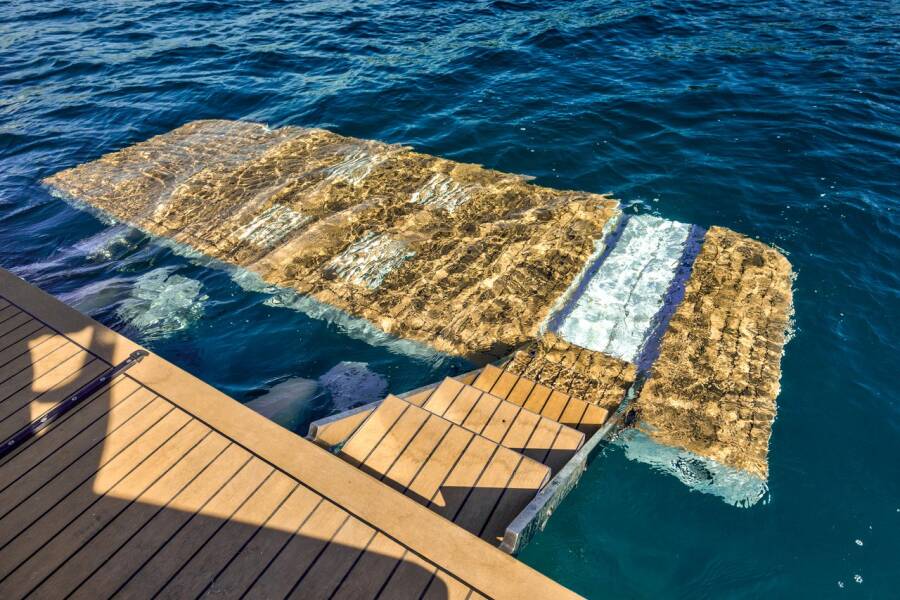 Galeon 420 Amber Blue