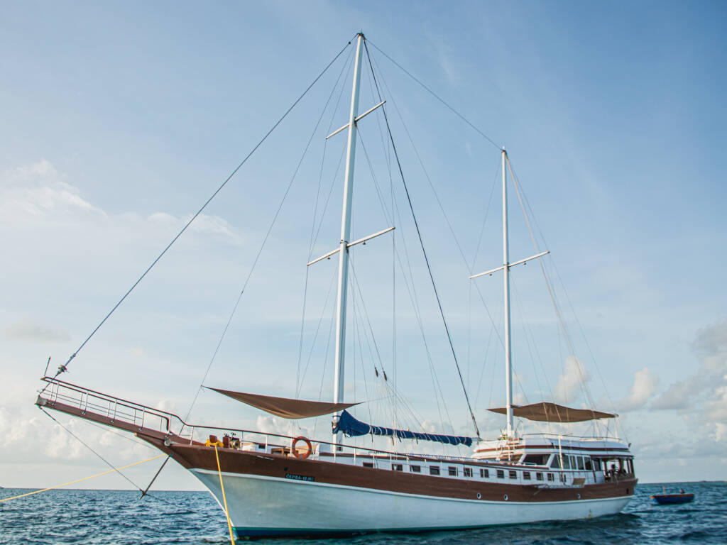 Gulet Akoya Pearl