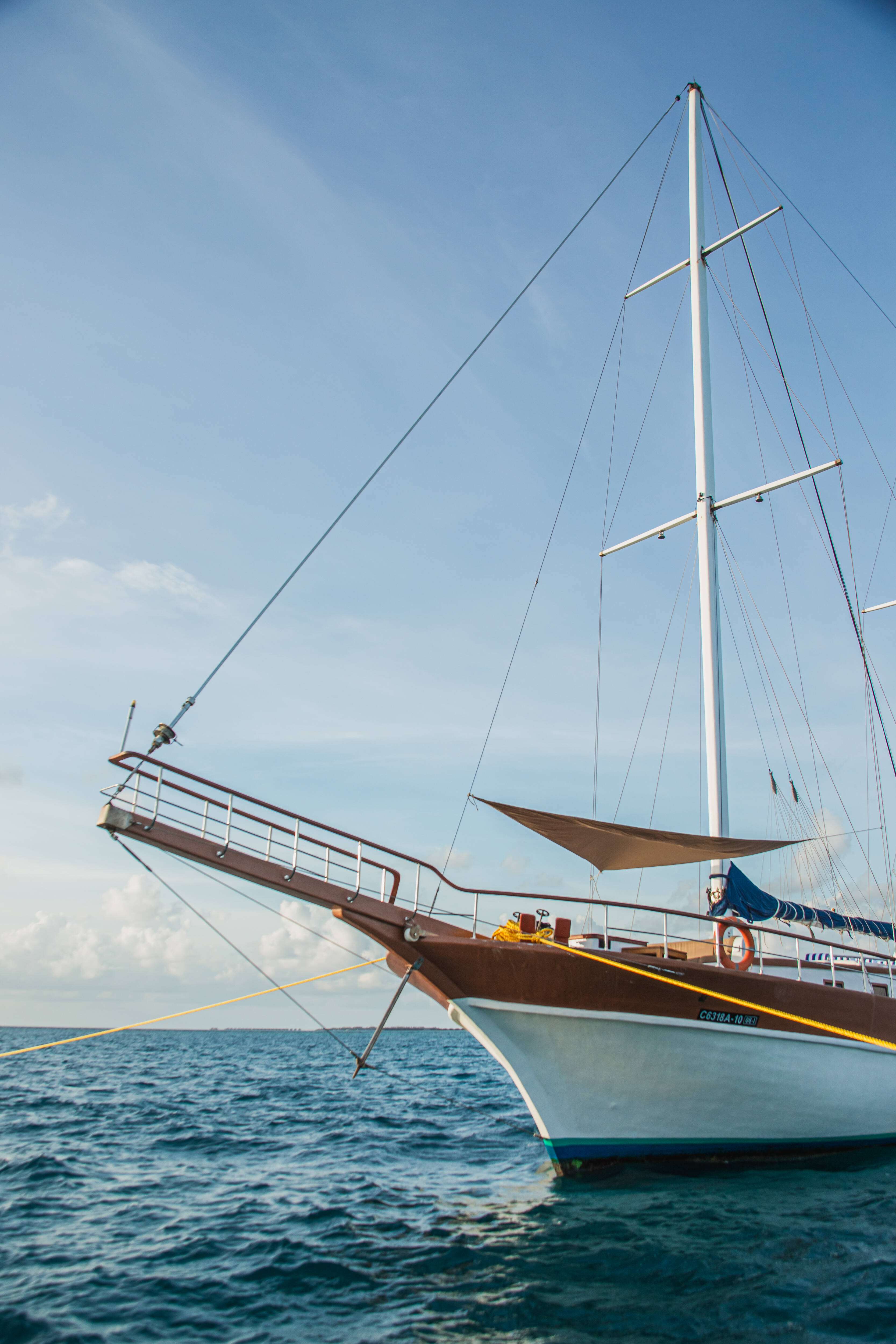 Gulet Akoya Pearl