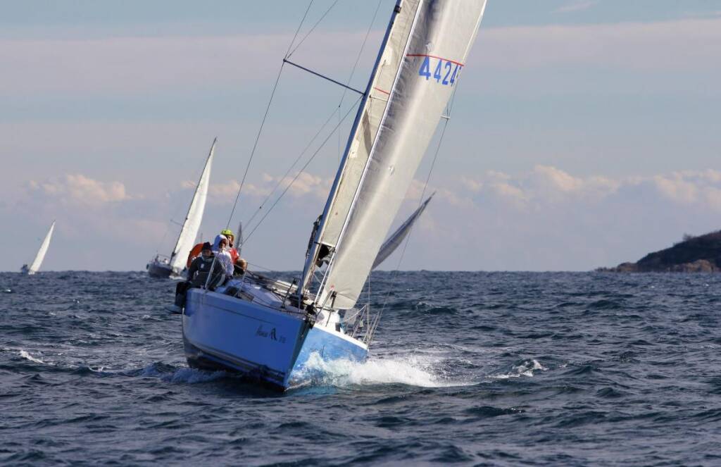 Hanse 315 Tendance III