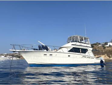 Hatteras 50 Convertible • Tipejyas