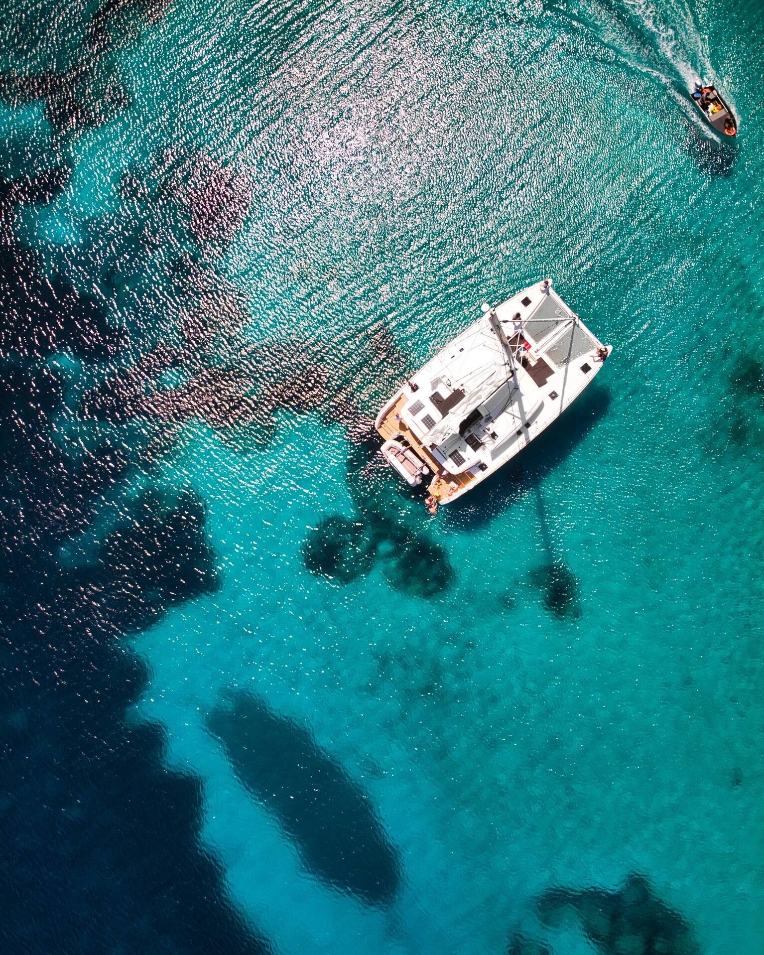 Lagoon 450F Pollo