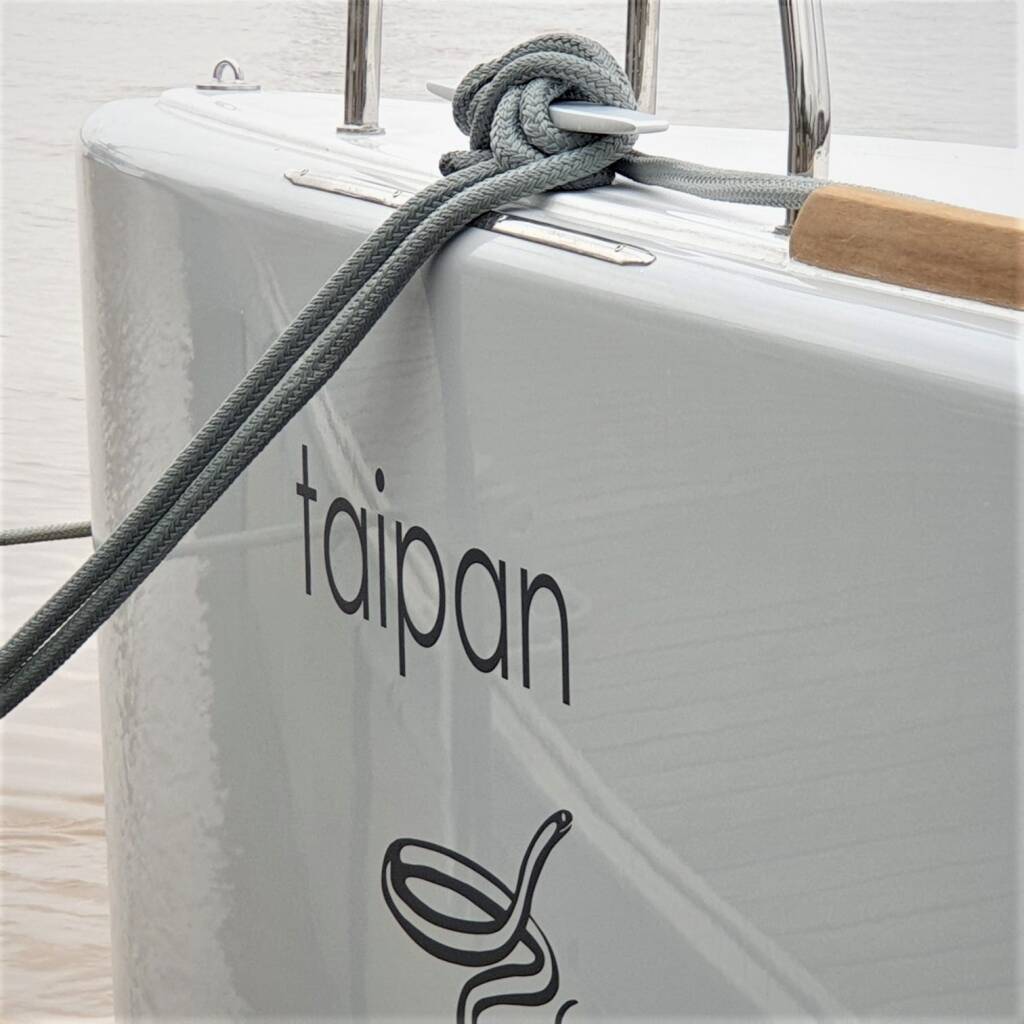 Lagoon 560 S2 Taipan