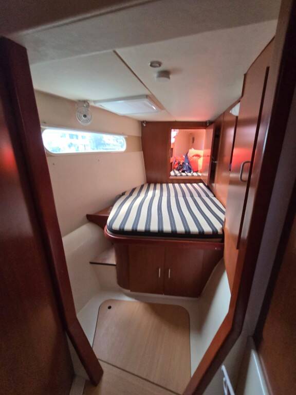 Leopard 46 Moko Jumbie