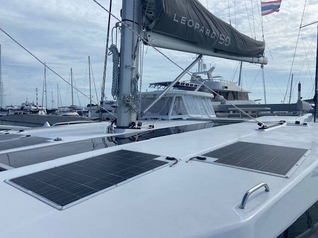 Leopard 50 Ms. Chief