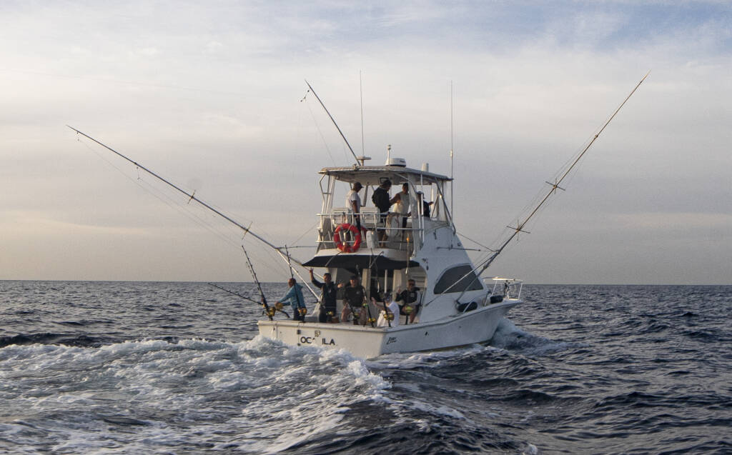 Luhrs 340 Ocadilla