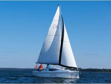 Maxus 28 Standard • AURORA