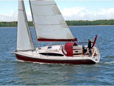 Maxus 33.1 RS Prestige • Wind Rose