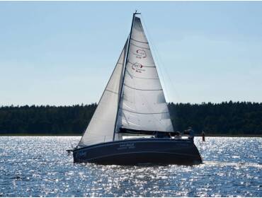 Maxus 33.1 RS Standard • ANDROS