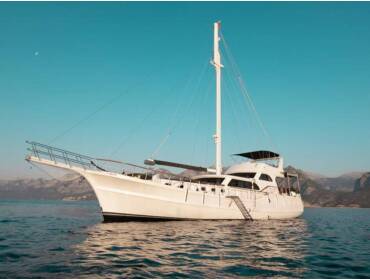 Motorsailer Ozde 1