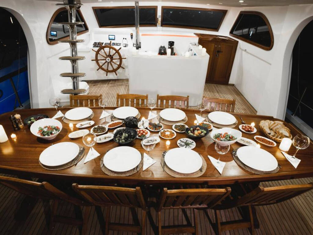 Motorsailer Ozde 1